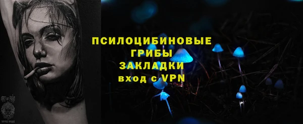 шишки Алексеевка