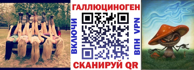 дарк нет формула  Удомля  Псилоцибиновые грибы Cubensis 